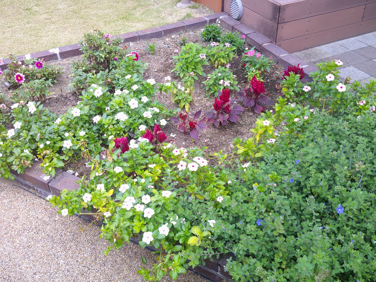 涼しい一日⛅ - 群馬県高崎市 介護付有料老人ホーム「カーサ・デ